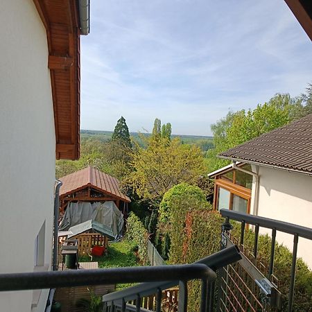 Au Fil Du Bonheur Studio Surbourg Екстер'єр фото
